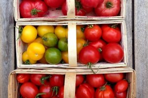 Tomaten aus dem Garten